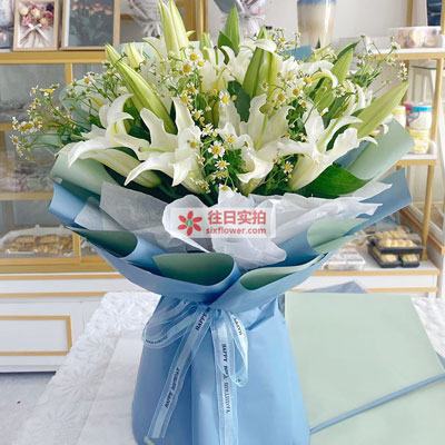 秦皇岛8支白色多头百合洋甘菊,互倾的思念