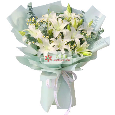 秦皇岛6支白色多头百合，温馨的祝福